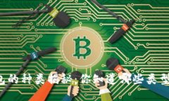 区块链钱包的种类揭秘：你知道哪些类型适合你