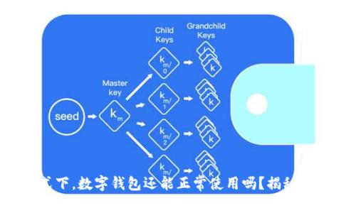 飞行模式下,数字钱包还能正常使用吗?揭秘你的疑惑!