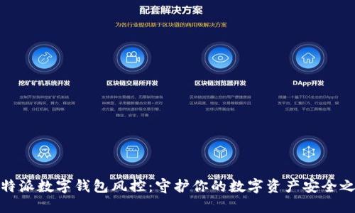 比特派数字钱包风控:守护你的数字资产安全之道