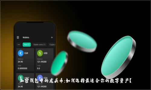 加密钱包中的龙头币:如何选择最适合你的数字资产?