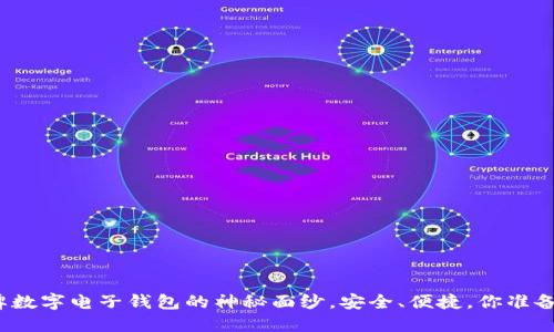 揭开老牌数字电子钱包的神秘面纱，安全、便捷，你准备好了吗？