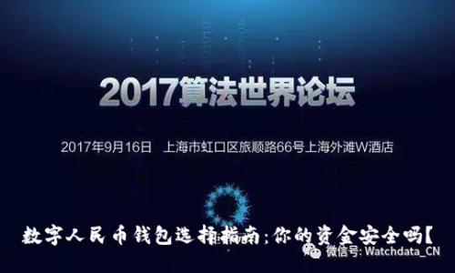 数字人民币钱包选择指南:你的资金安全吗?