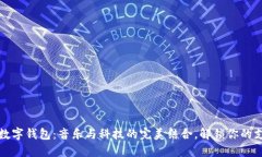 周杰伦的数字钱包：音乐与科技的完美结合，解