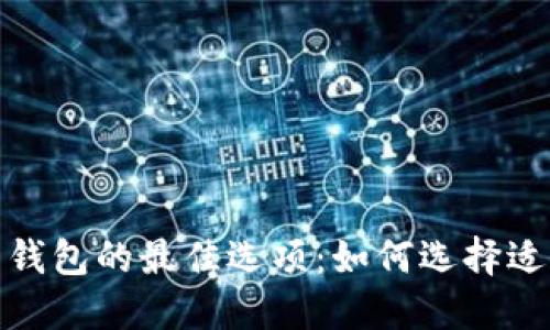 探索数字货币钱包的最佳选项:如何选择适合你的那一款