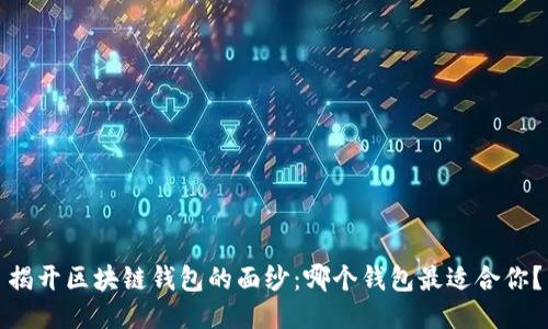 揭开区块链钱包的面纱：哪个钱包最适合你？