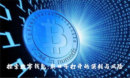 探索数字钱包:新口子打开的便利与风险