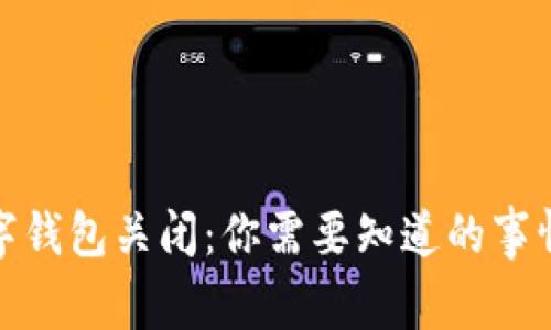 建设银行数字钱包关闭:你需要知道的事情与应对策略