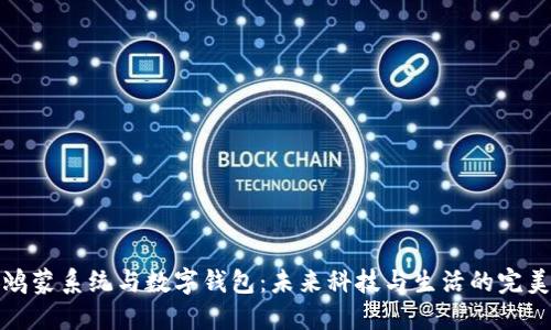 华为鸿蒙系统与数字钱包:未来科技与生活的完美结合