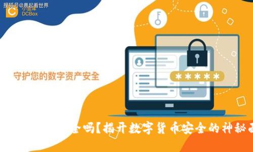 CFP数字钱包安全吗?揭开数字货币安全的神秘面纱