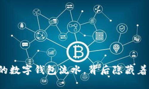 无法删除的数字钱包流水,背后隐藏着什么秘密?