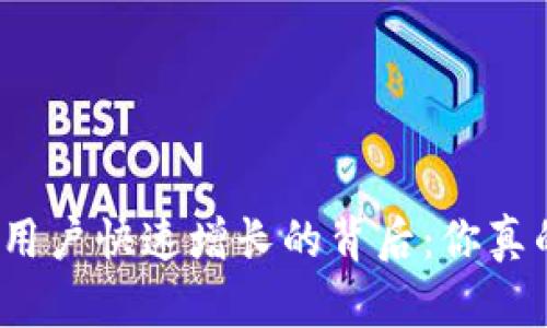 加密钱包用户快速增长的背后:你真的了解吗?