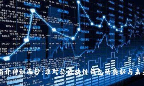 揭开神秘面纱:非对称区块链钱包的奥秘与未来