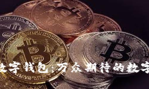 解密Kcash数字钱包:万众期待的数字资产新纪元