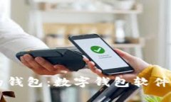 重新定义你的钱包：数字钱包软件的未来与潜力