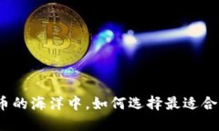 在加密货币的海洋中，如何选择最适合你的钱包