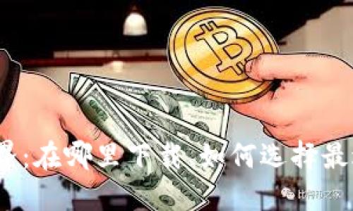 数字钱包的全新世界:在哪里下载、如何选择最适合你的数字钱包?
