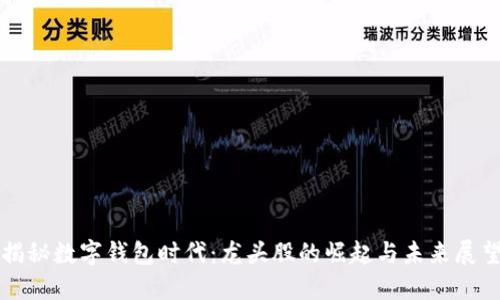 揭秘数字钱包时代:龙头股的崛起与未来展望