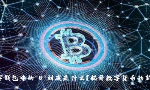 TP数字钱包中的“U”到底是什么?揭开数字货币的新世界!
