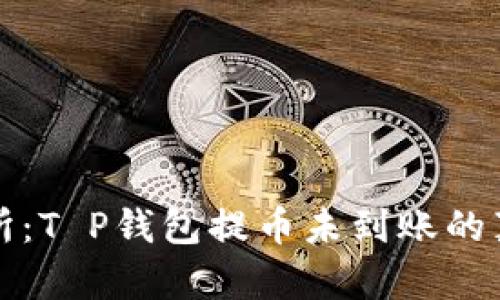 解密币安交易所:T P钱包提币未到账的真相与解决方案