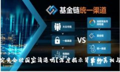数字钱包究竟会被国家清退吗？深度揭示背后的