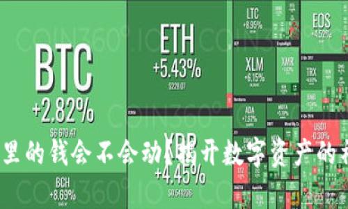 t p钱包里的钱会不会动?揭开数字资产的神秘面纱