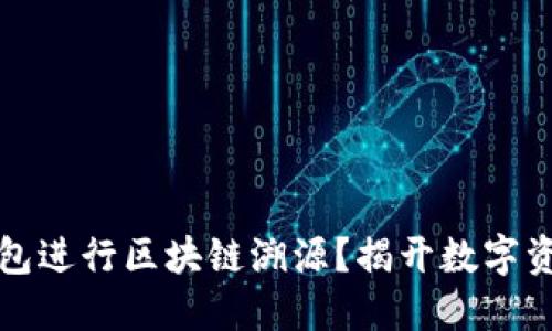 如何利用TP钱包进行区块链溯源?揭开数字资产的神秘面纱