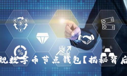 如何选择合适的正规数字币节点钱包?揭秘背后的技巧与实用建议