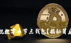 如何选择合适的正规数字币节点钱包？揭秘背后