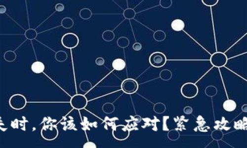 :
当TP钱包消失时,你该如何应对?紧急攻略与心态调整!