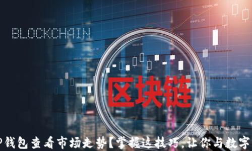 如何用TP钱包查看市场走势?掌握这技巧,让你与数字货币同行