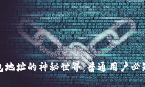 : 探索TP钱包地址的神秘世界:普通用户必知的使用技巧