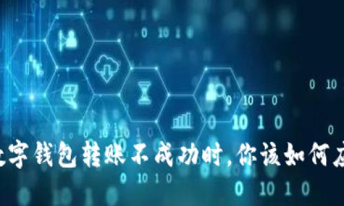 当数字钱包转账不成功时,你该如何应对?