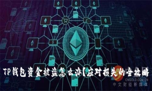 TP钱包资金被盗怎么办?应对损失的全攻略