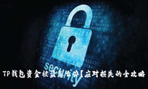 TP钱包资金被盗怎么办?应对损失的全攻略