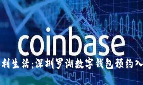 解锁便利生活:深圳罗湖数字钱包预约入口指南