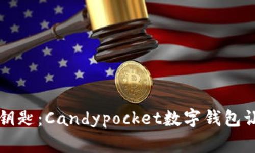 解锁未来支付的钥匙:Candypocket数字钱包让你的生活更轻松