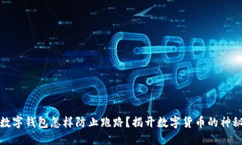 私密数字钱包怎样防止跑路?揭开数字货币的神秘面纱