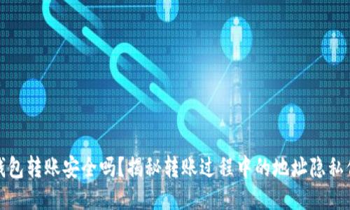 TP钱包转账安全吗?揭秘转账过程中的地址隐私保护