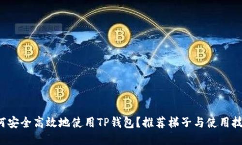 如何安全高效地使用TP钱包?推荐梯子与使用技巧!