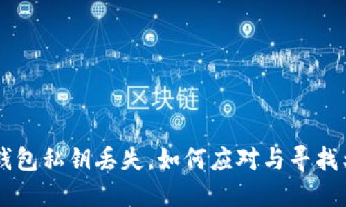 当你的TP钱包私钥丢失,如何应对与寻找希望的引导