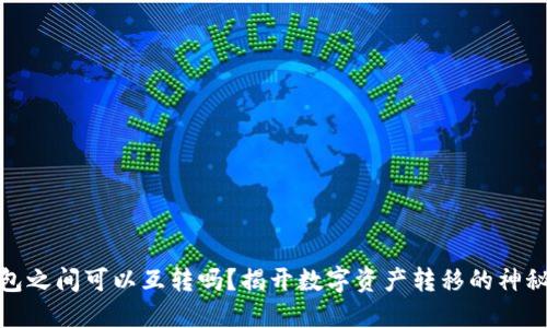 TP钱包之间可以互转吗？揭开数字资产转移的神秘面纱