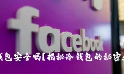 区块链冷钱包安全吗？揭秘冷钱包的秘密和冻结风险