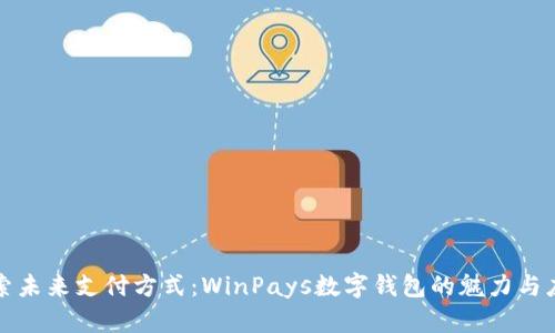 探索未来支付方式：WinPays数字钱包的魅力与应用