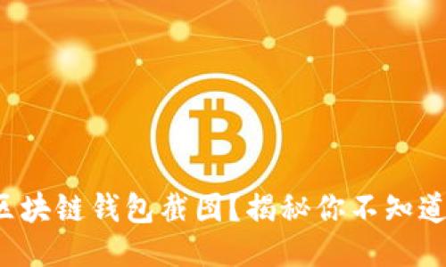 如何轻松制作区块链钱包截图？揭秘你不知道的技巧与方法！