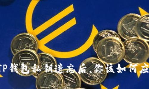 当TP钱包私钥遗忘后,你该如何应对?